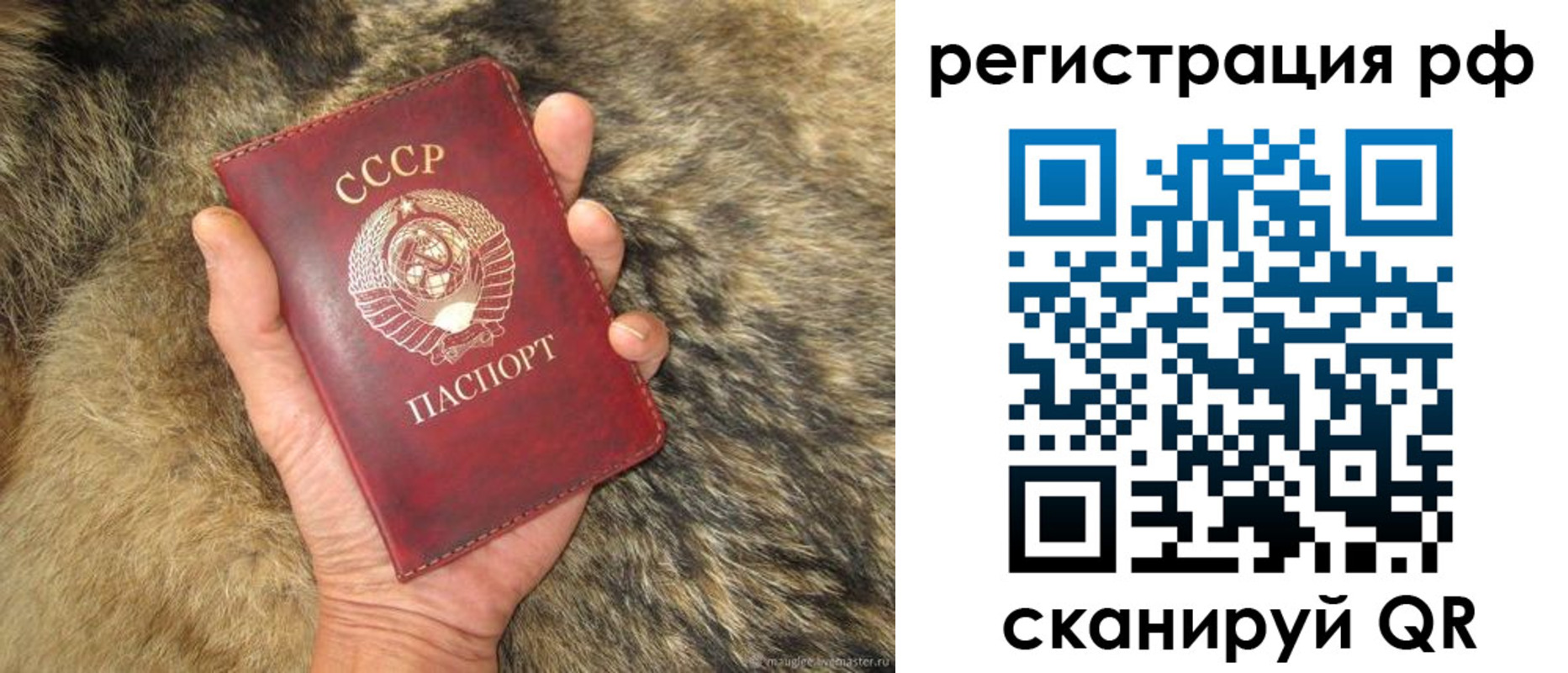 прописка для военкомата в Мончегорске